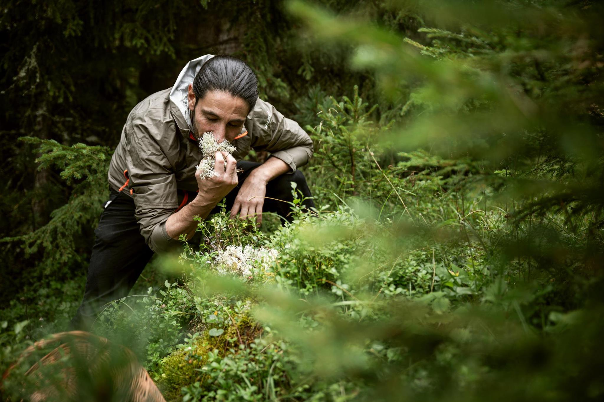 Zwischen Moos und Michelin