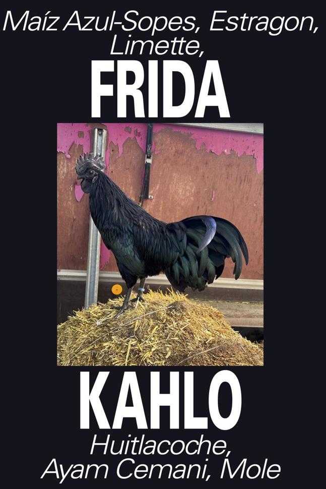 Frida DE Kopie (1)