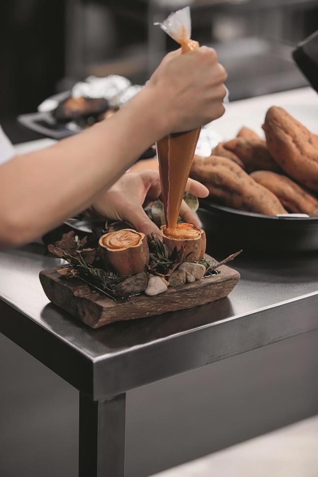 atxa25.jpg atxa25.jpg