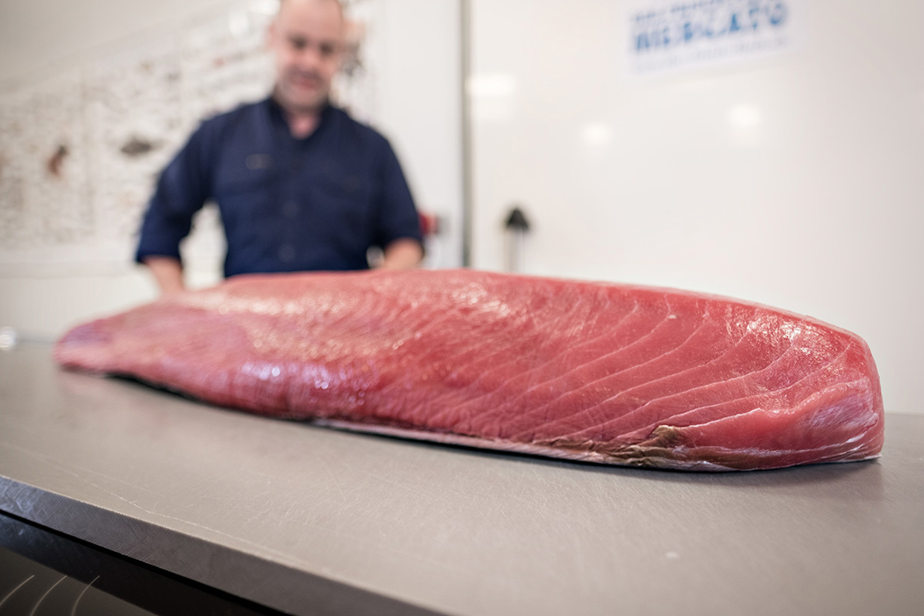 20171026-thunfisch_15.jpg 20171026-thunfisch_15.jpg