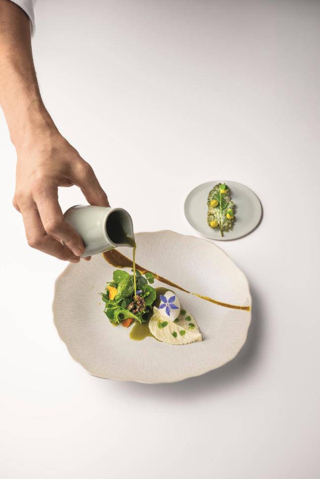 Prato e papille (Wiese und Papillen) mit – unter anderem – Sauerklee, wildem Salbei, Bärlauch und Rainfarn