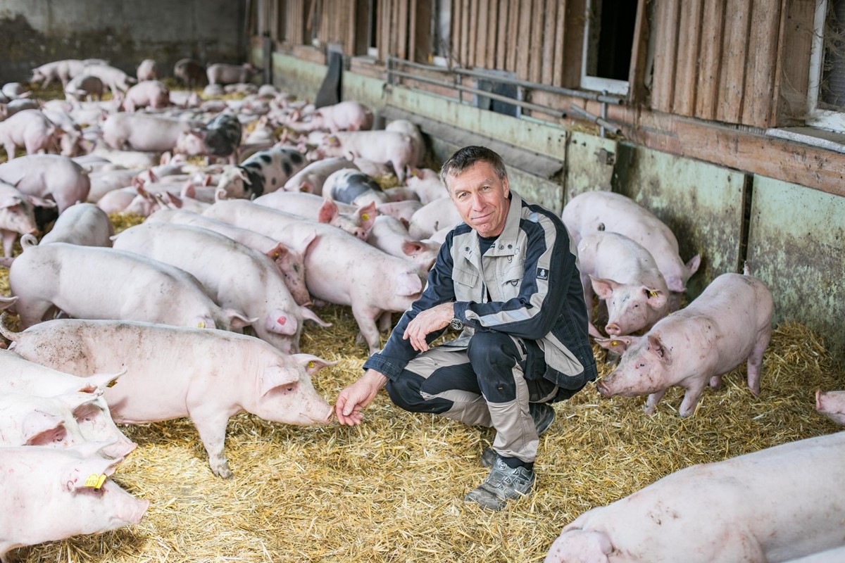Tierwohl und der bewusste Umgang mit vermeintlichen Abfällen sind für Schweinebauer Markus Gstach aus Vorarlberg wichtig.