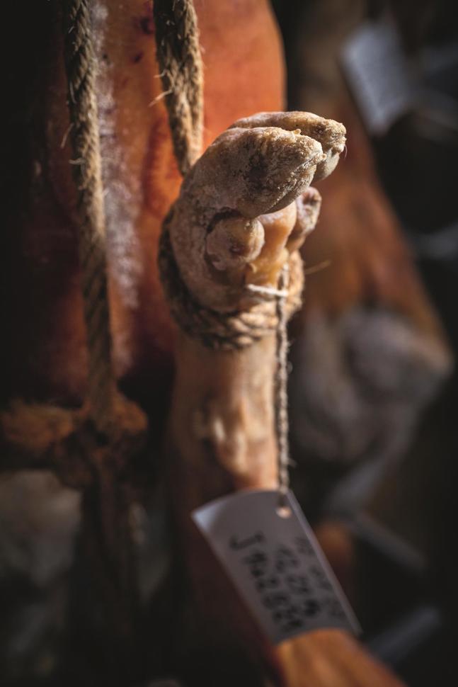 alcala2022-1028.jpg alcala2022-1028.jpg