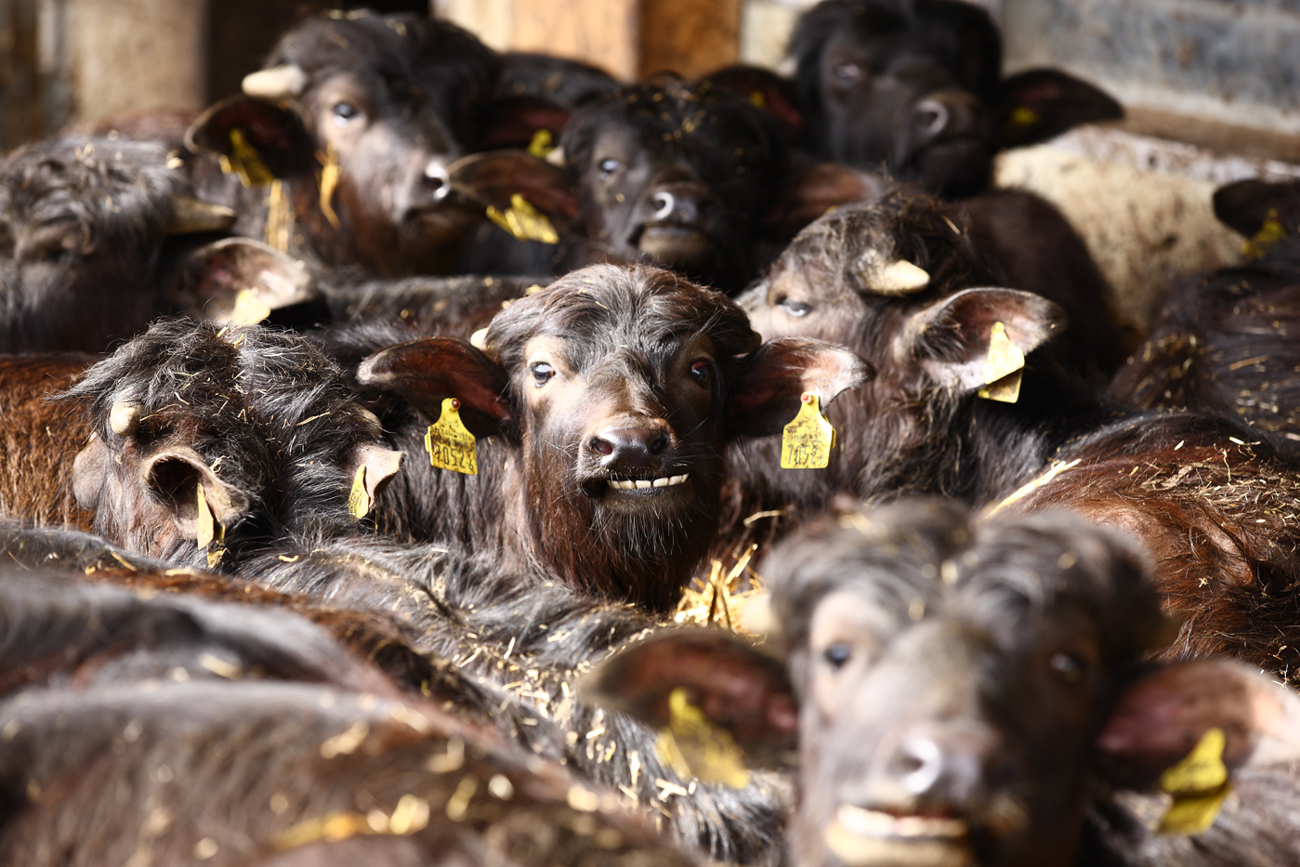 mstu0048.jpg mstu0048.jpg