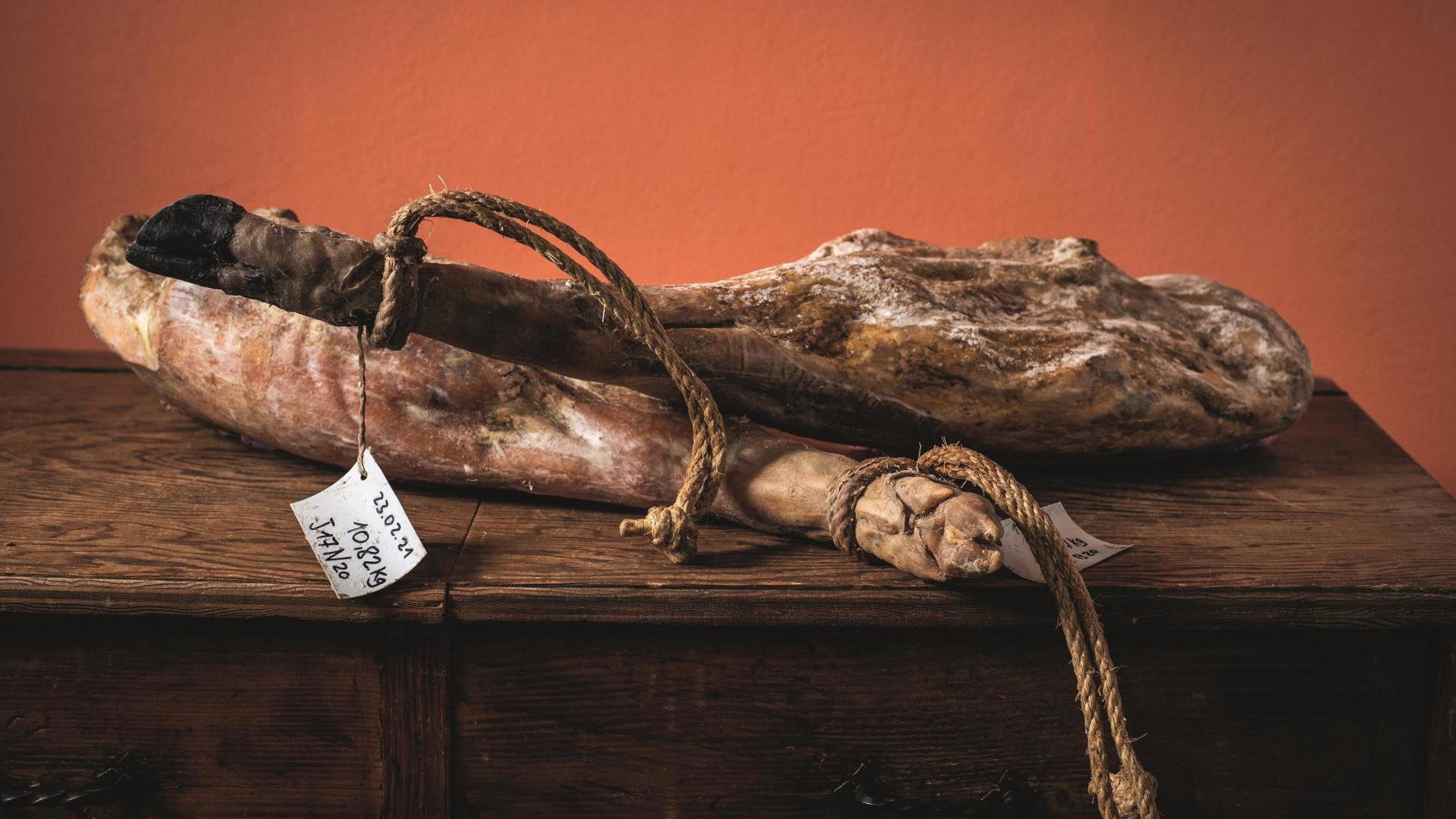 alcala2022-1034.jpg alcala2022-1034.jpg