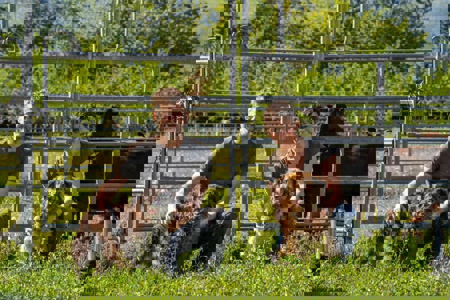 Trüffel aus heimischem Anbau