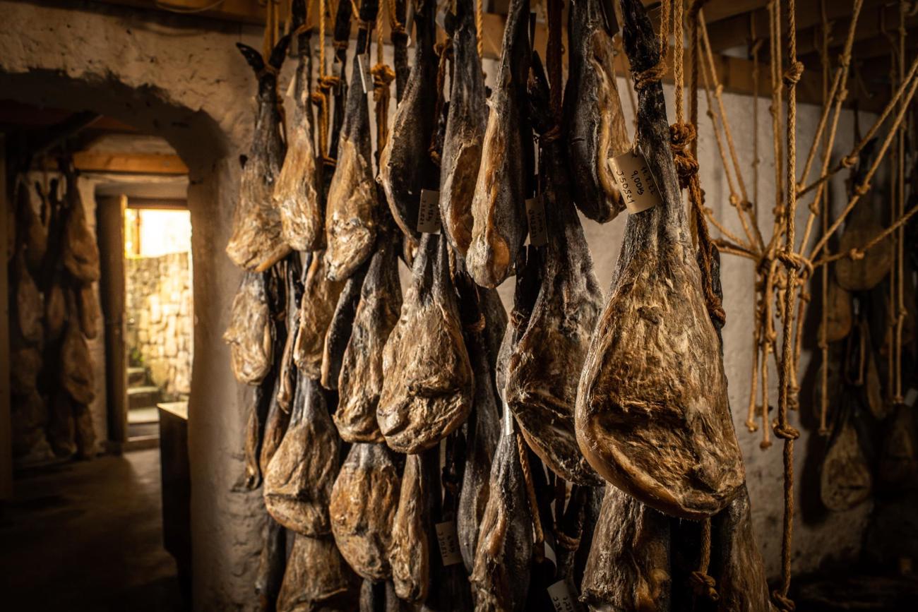 alcala2022-1009.jpg alcala2022-1009.jpg