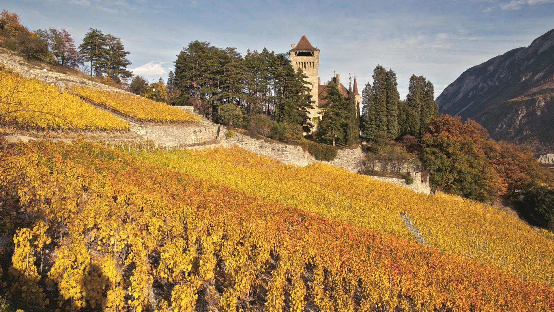 mercier3.jpg mercier3.jpg