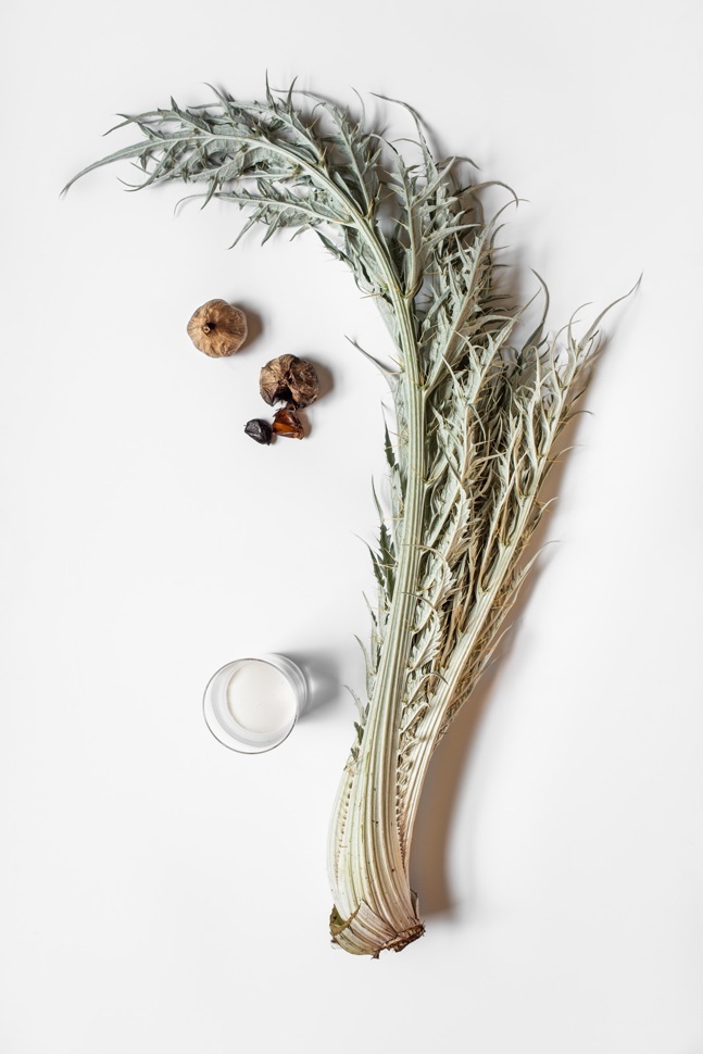 Kardy, Rahm, schwarzer Knoblauch Kardy, Rahm, schwarzer Knoblauch