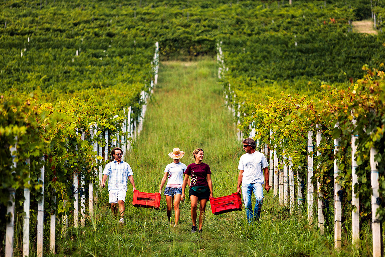Im Weinberg Im Weinberg