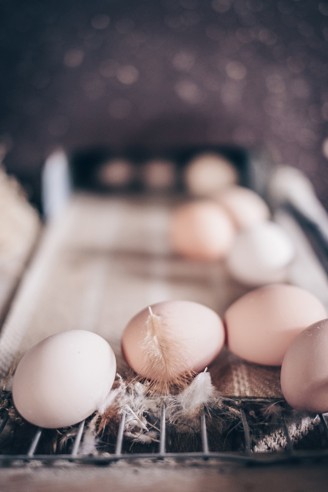 20180409-salz-und-pfeffer-hof-looren_15.jpg 20180409-salz-und-pfeffer-hof-looren_15.jpg