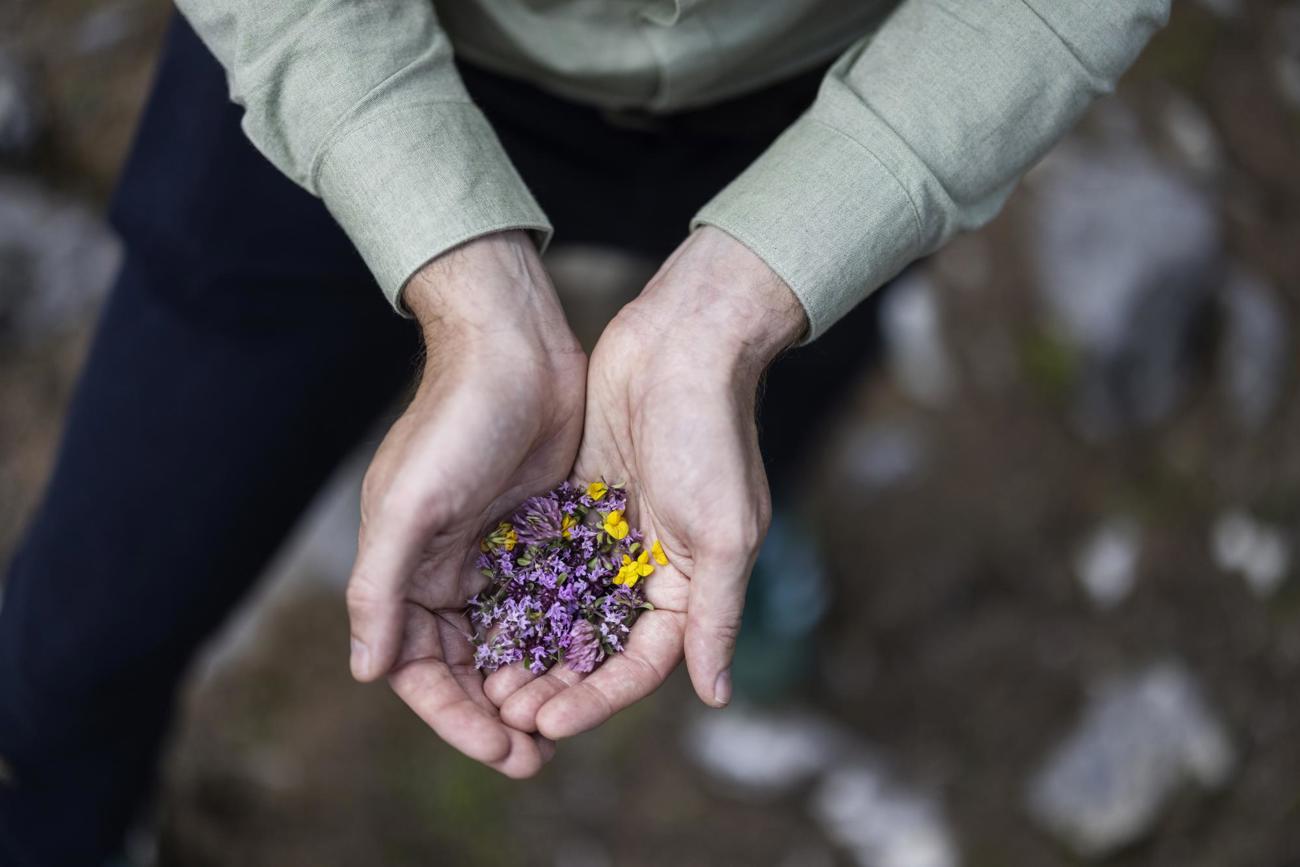 _j1a4839.jpg _j1a4839.jpg