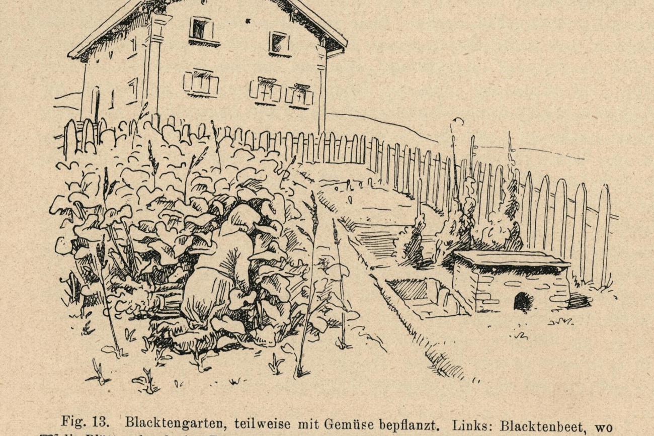 brockmann-jerosch_neujahrsblatt_blacktengartenkopieent_id230.jpg brockmann-jerosch_neujahrsblatt_blacktengartenkopieent_id230.jpg