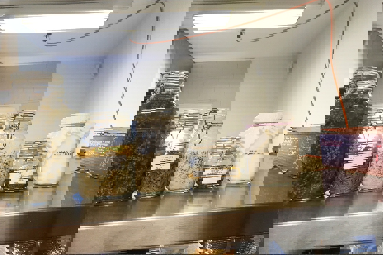 xx.jpg