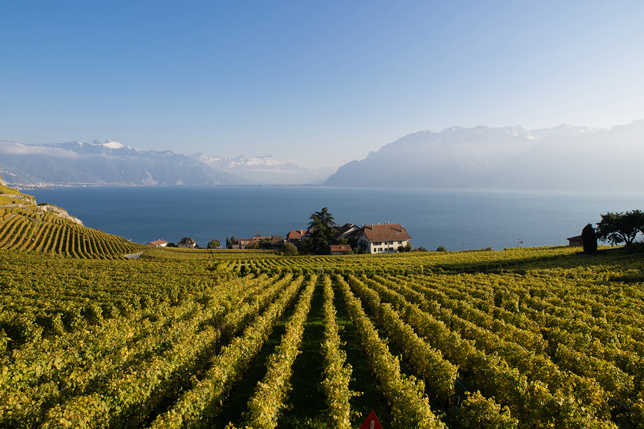 hr_vaud_fall_lavaux_-_dreamstime_xl_27998701.jpg
