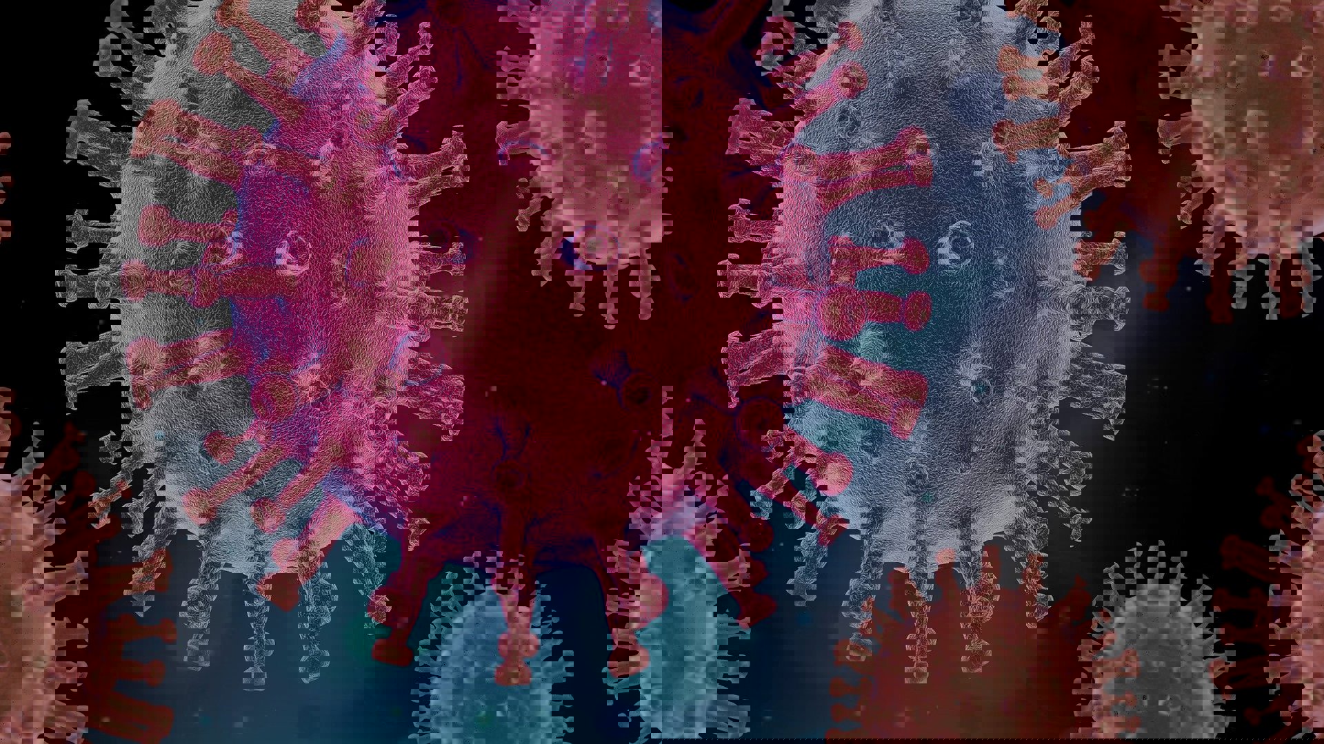 virus-4937553_1920.jpg virus-4937553_1920.jpg