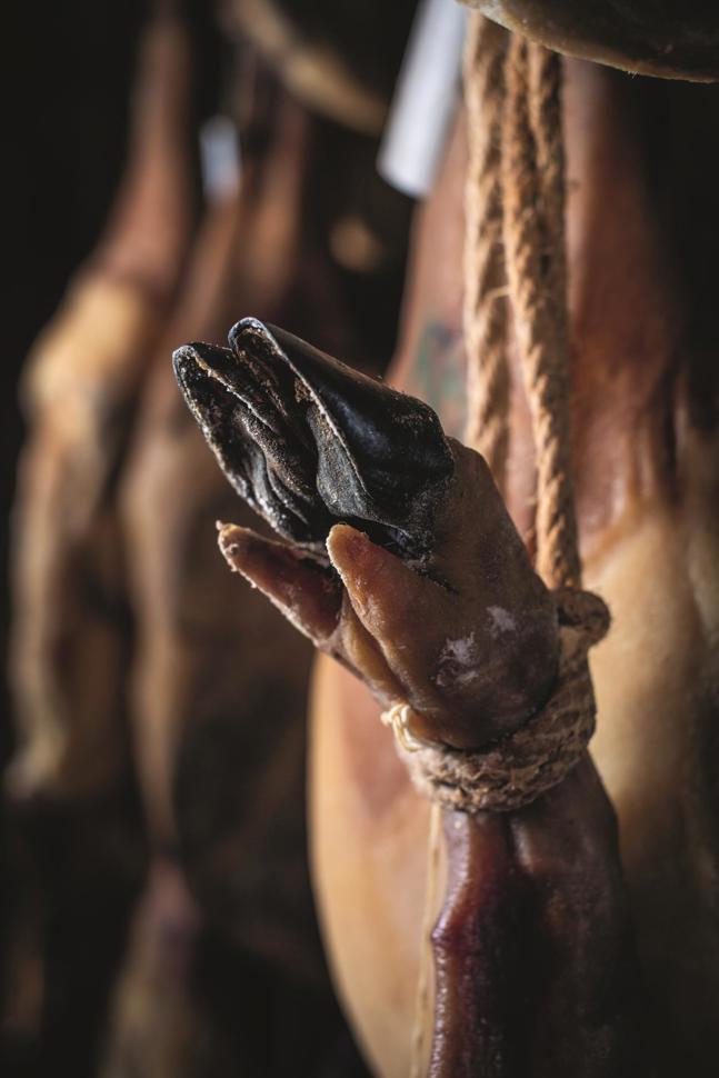 alcala2022-1030.jpg alcala2022-1030.jpg