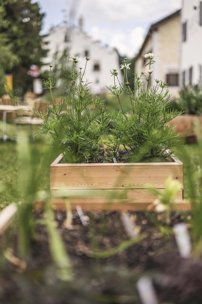 _j1a5016.jpg _j1a5016.jpg