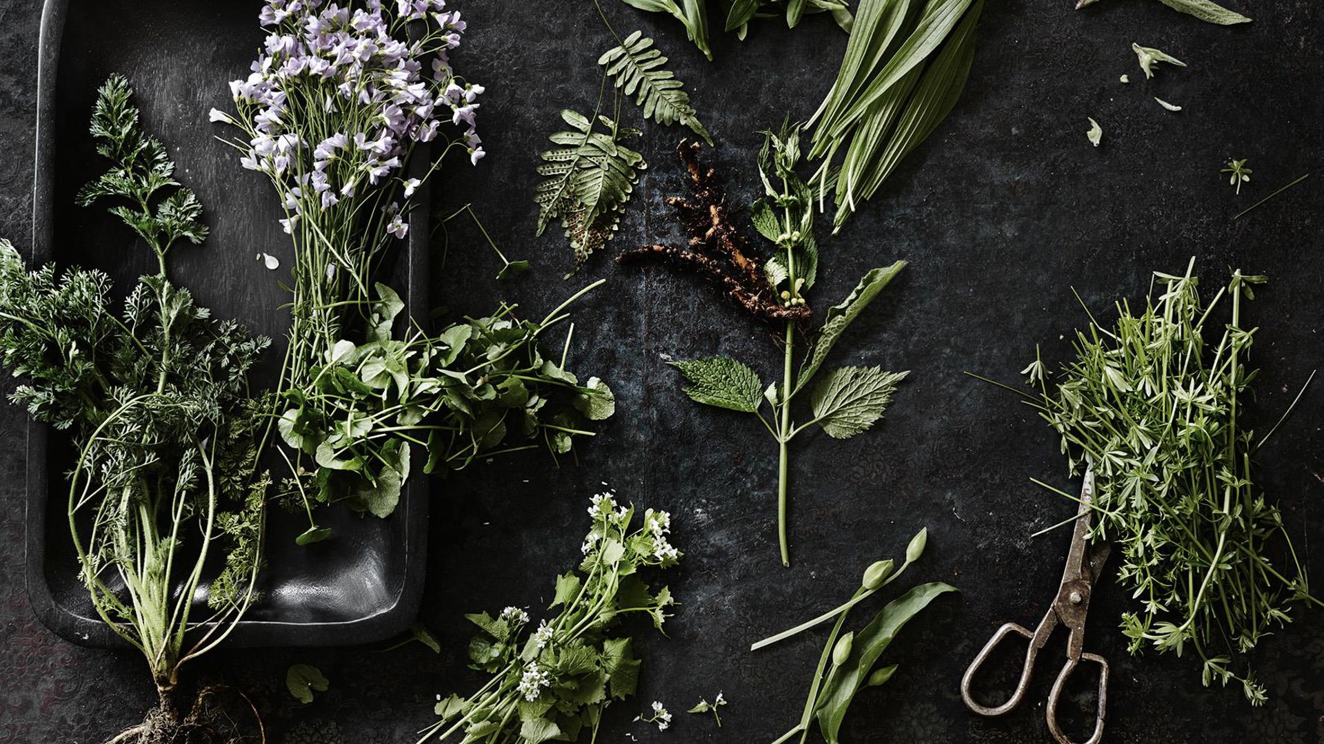 unknown-1.jpeg unknown-1.jpeg