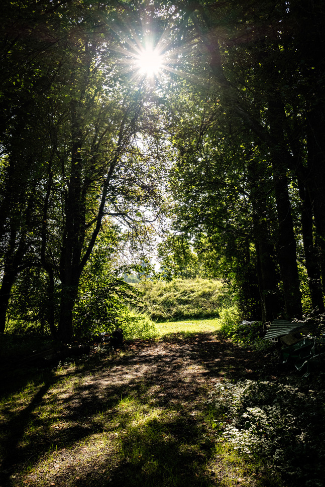 20170816-salz-und-pfeffer-brunnenkresse_25.jpg