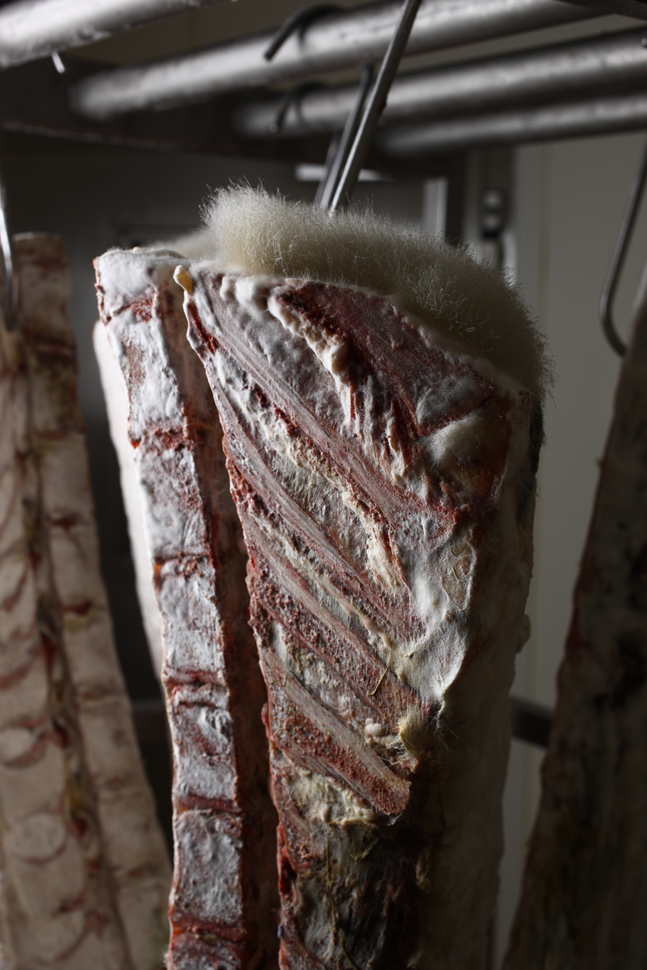 mstu0029.jpg mstu0029.jpg